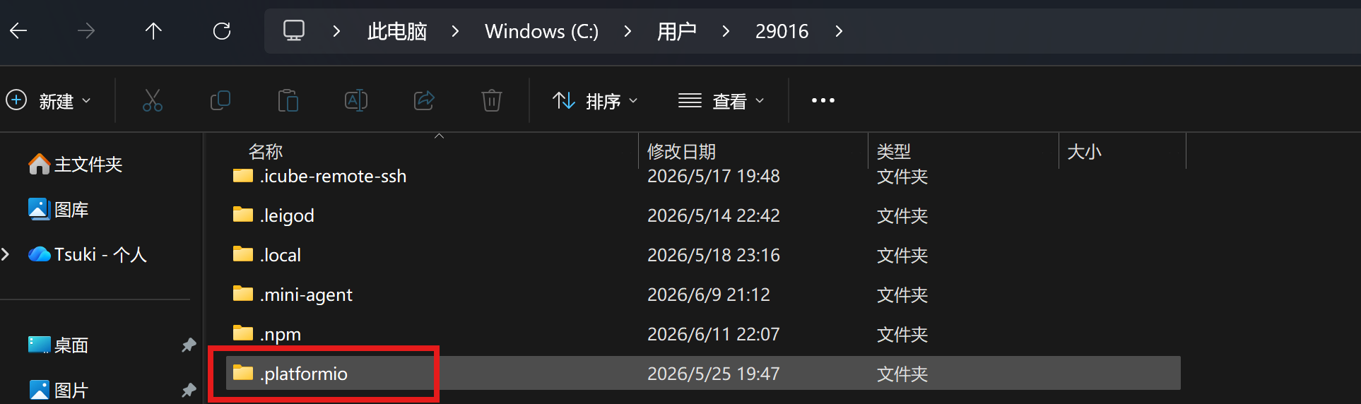 PlatformIO文件路径